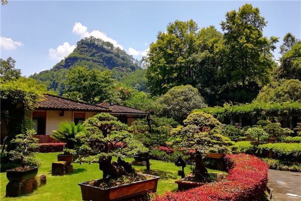 长子前万户汤王庙