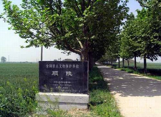 武则天母亲杨氏-唐顺陵