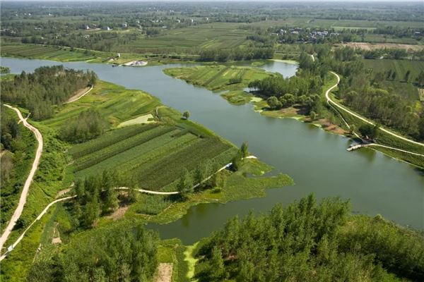 泉河“两湾”湿地公园